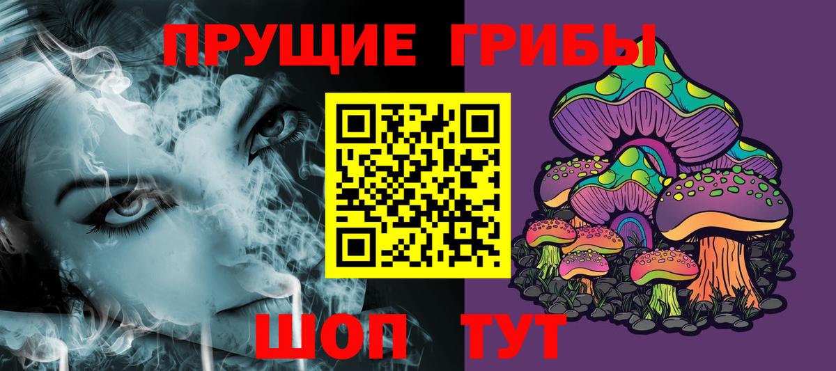 Галлюциногенные грибы Psilocybe Химки